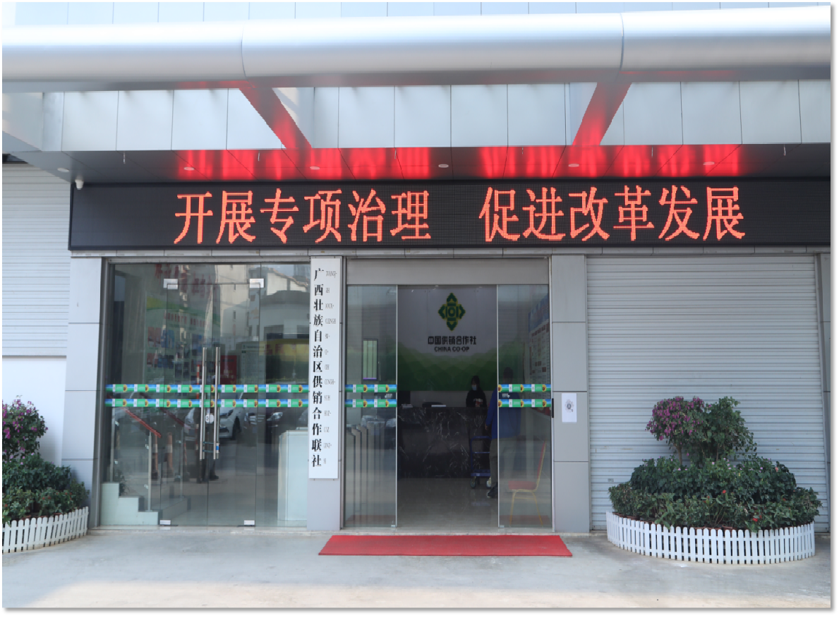 V体育
