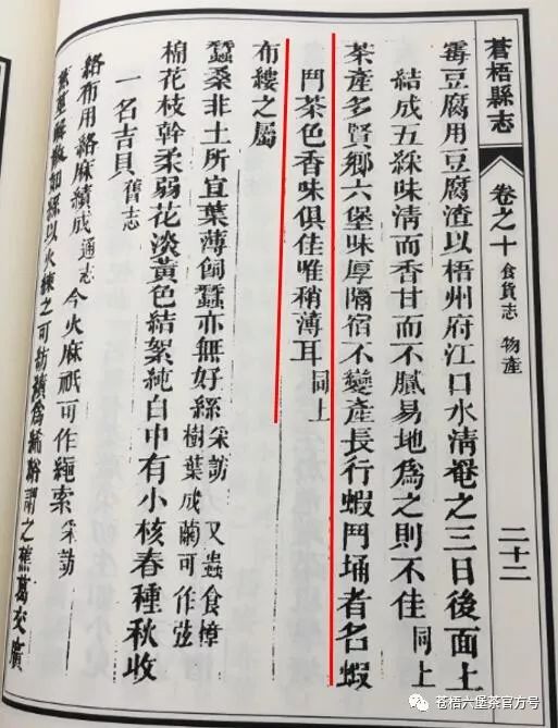 V体育