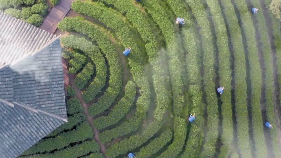 微信图片_20220324084632.jpg V体育